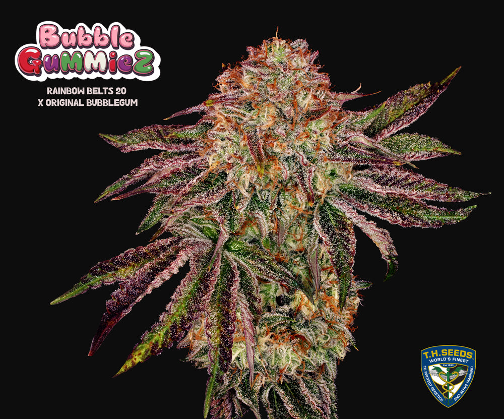 BubbleGummieZ by T.H.Seeds®