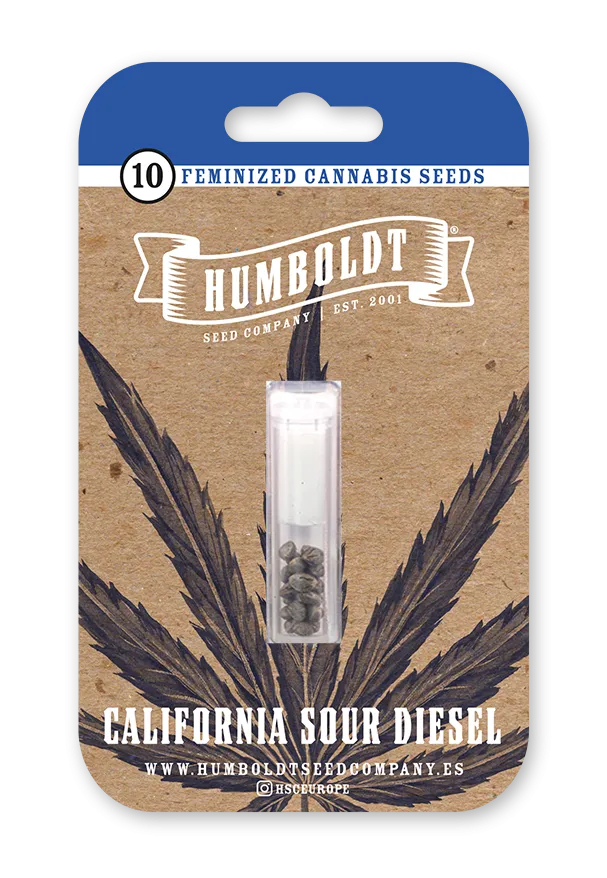 California Sour Diesel Feminisiert Humboldt Seed Company