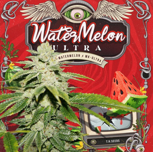 WaterMelon Ultra Feminisiert T.H.Seeds™