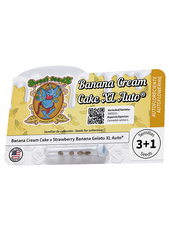 Banana Cream Cake XL Auto® (Feminisiert) Sweet Seeds