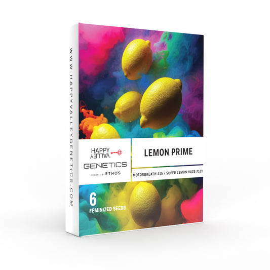 Lemon Prime Feminisiert Happy Valley Genetics