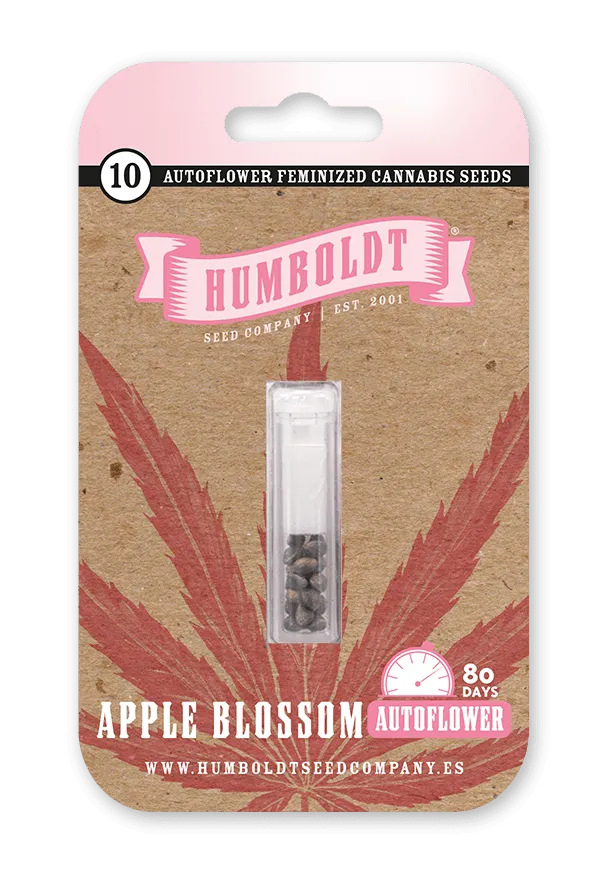 Auto Apple Blossom (Feminisiert) Humboldt Seed Company
