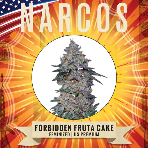 Forbidden Fruta Cake Feminisiert US Premium Narcos Seeds