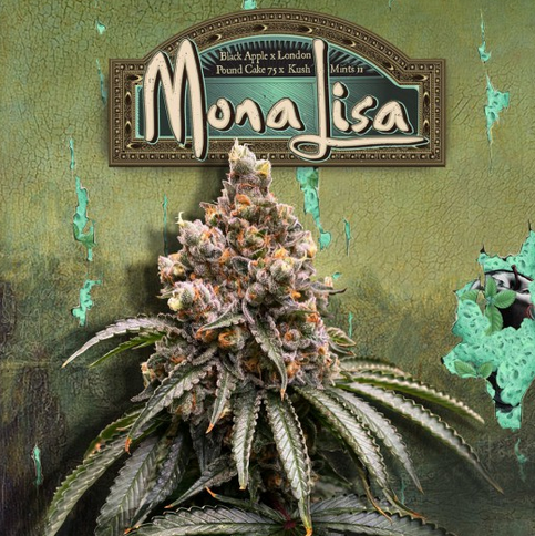 Mona Lisa Feminisiert T.H.Seeds™