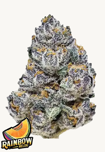 Rainbow Melon Feminisiert Fast Buds