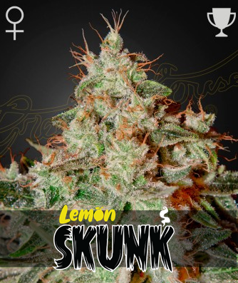 Lemon Skunk Feminisiert Green House Seeds Company