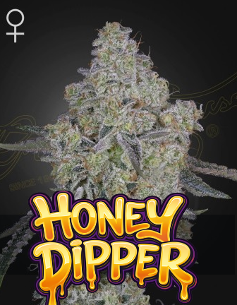 Honey Dipper Feminisiert Green House Seeds Company