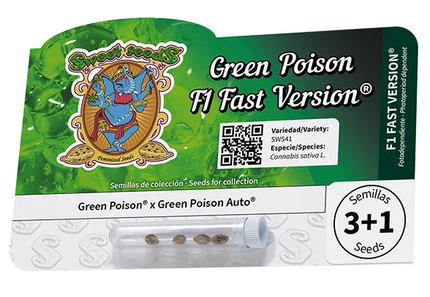 Green Poison F1 Fast Version® Feminisiert Sweet Seeds