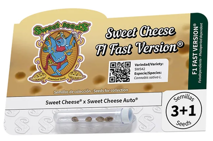 Sweet Cheese F1 Fast Version® Feminisiert Sweet Seeds