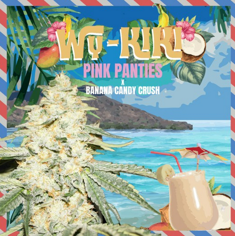 Wy-Kiki Feminisiert T.H.Seeds™