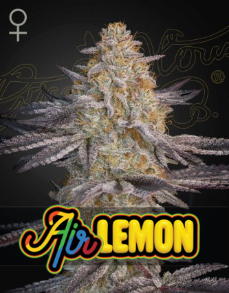 Air Lemon Feminisiert Green House Seeds Company