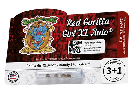 Auto Red Gorilla Girl XL® (Feminisiert) Sweet Seeds