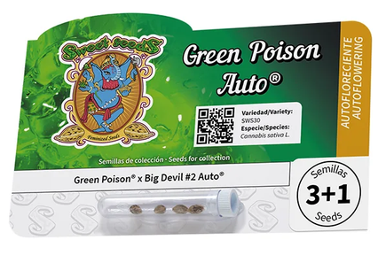 Auto Green Poison® (Feminisiert) Sweet Seeds