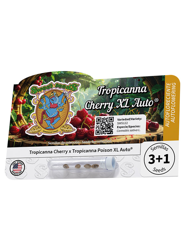 Tropicanna Cherry XL Auto® (Feminisiert) Sweet Seeds