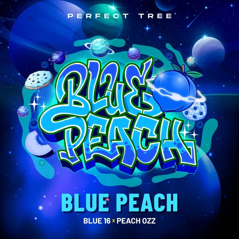 Blue Peach Feminisiert Perfect Tree Seeds