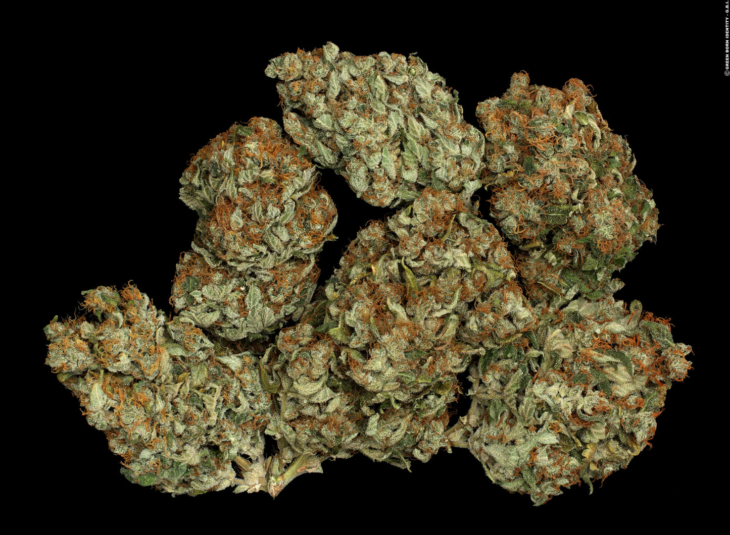 Bubble Gum Feminisiert Serious Seeds