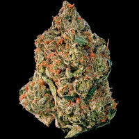 Cotton Candy Kush ® Feminisiert Delicious Seeds