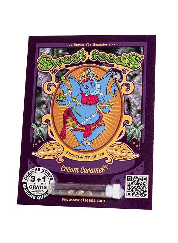 Cream Caramel® Feminisiert Sweet Seeds