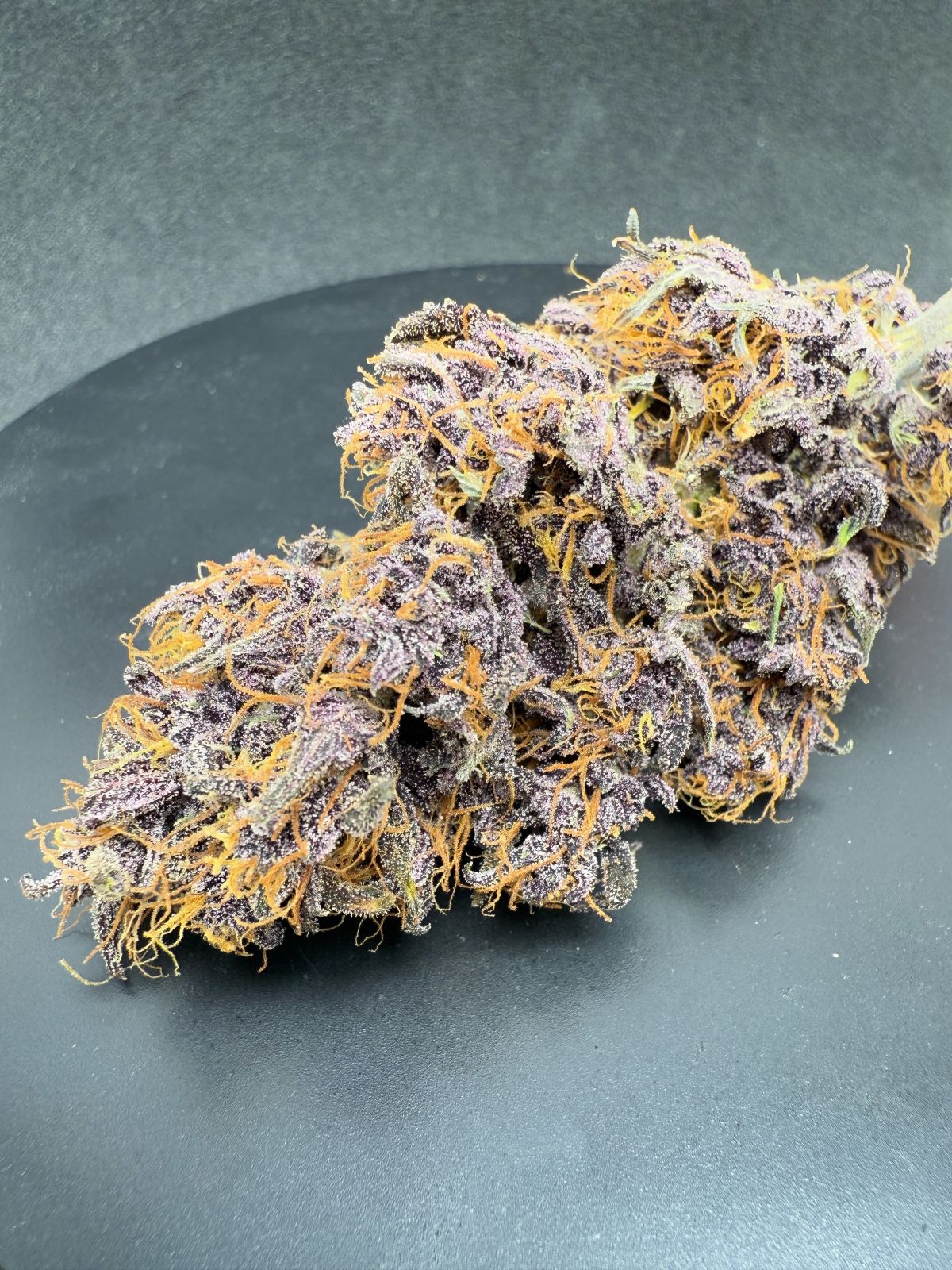 Auto Purple Haze (Feminisiert) Fast Buds