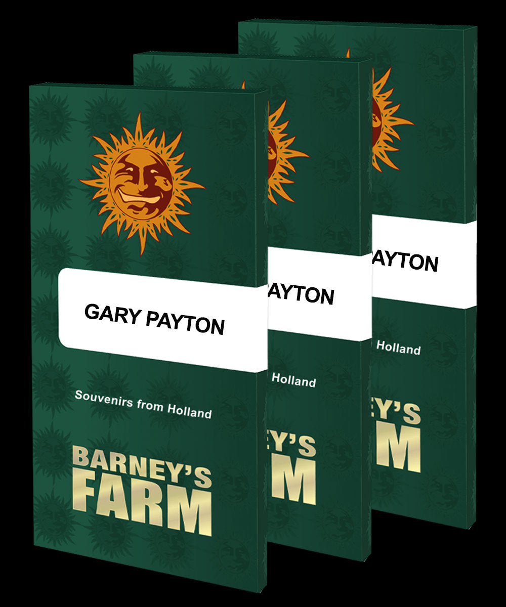 Gary Payton Feminisiert Barney's Farm