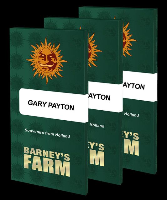 Gary Payton Feminisiert Barney's Farm