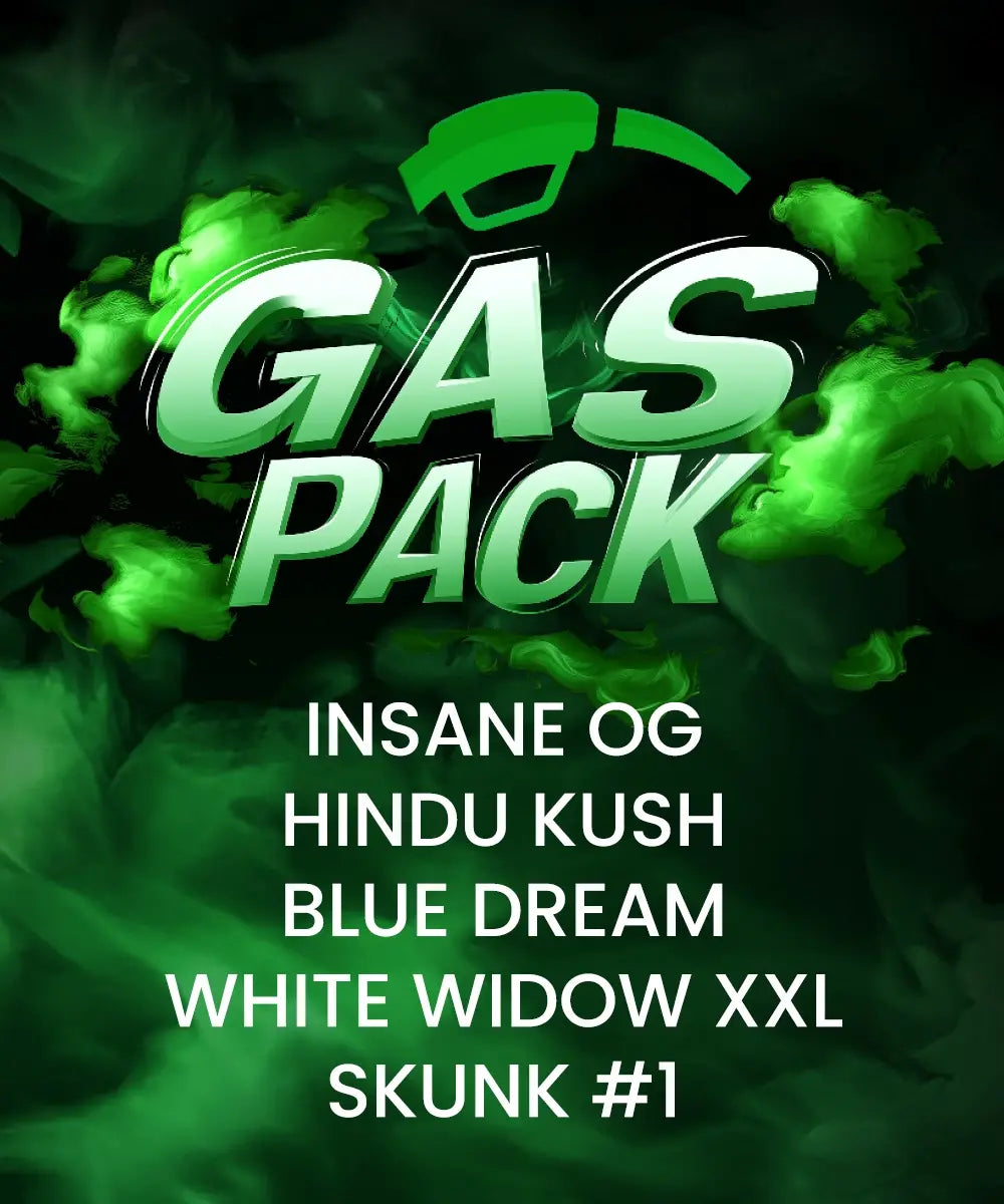 Gas Pack Feminisiert Barney's Farm