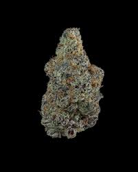 Dante's Marker (Permanent Marker x Dante Infierno) Feminisiert Bubbatz Seeds
