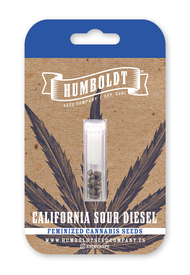 Auto California Sour Diesel (Feminisiert) Humboldt Seed Company