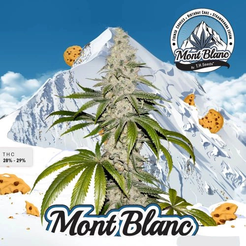 Mont Blanc Feminisiert T.H.Seeds™