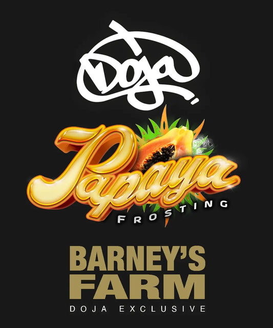 Papaya Frosting Doja Exklusiv Feminisiert Barney's Farm