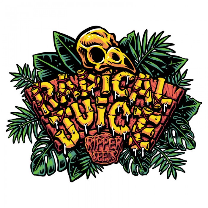 Radical Juice Feminisiert Ripper Seeds