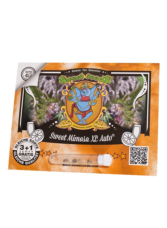 Auto Sweet Mimosa XL® (Feminisiert) Sweet Seeds