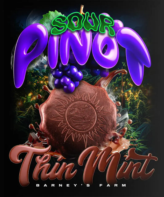 Auto Thin Mint x Sour Pinot (Feminisiert) Barney's Farm